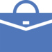 Website Audit